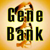 Gene Bank logo